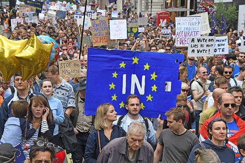 Тысячи британцев приняли участие в акции протеста против Brexit - ảnh 1